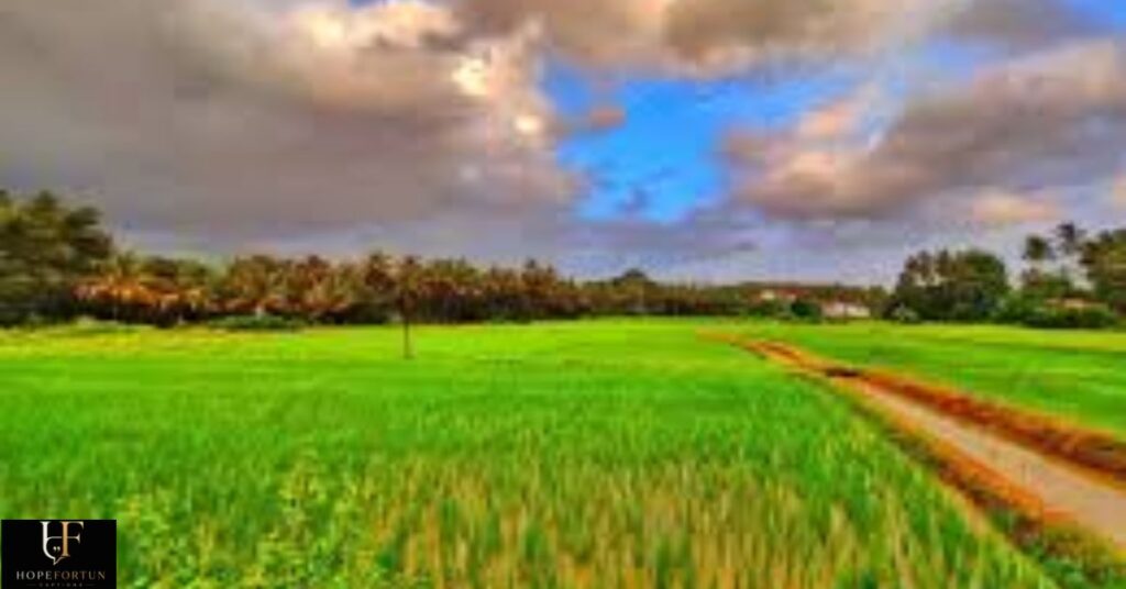 perfect-views-village-captions-for-instagram