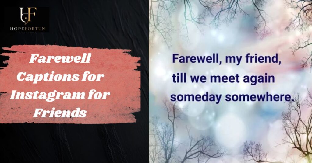 Farewell Captions for Instagram for Friends
